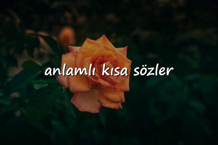 anlamlı kısa sözler - 2026
