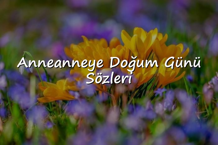 Anneanneye Doğum Günü Sözleri - 2026