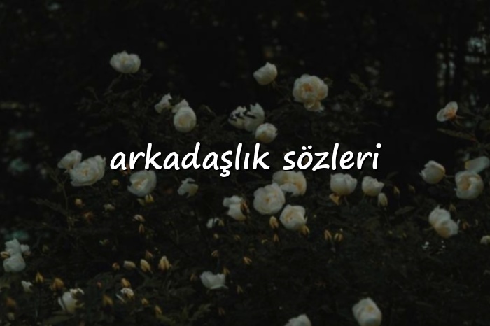 arkadaşlık sözleri - 2026