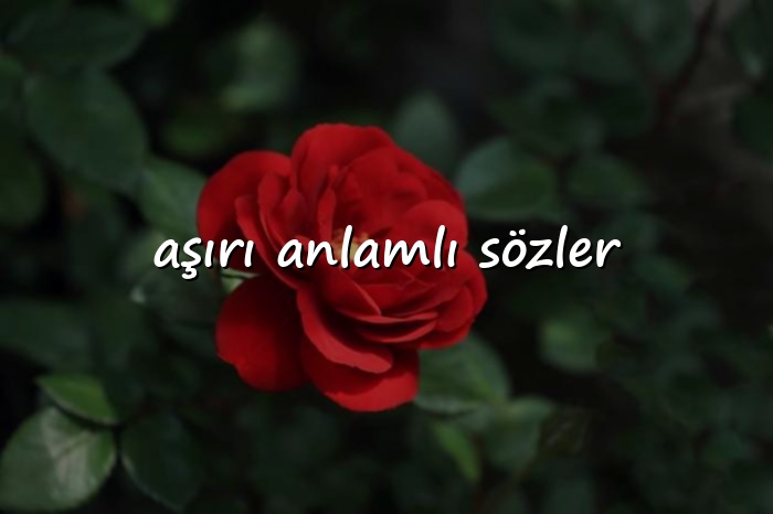 aşırı anlamlı sözler - 2026