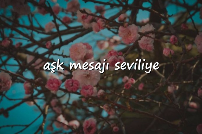 aşk mesajı seviliye - 2026