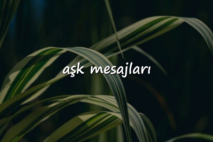 aşk mesajları - 2026