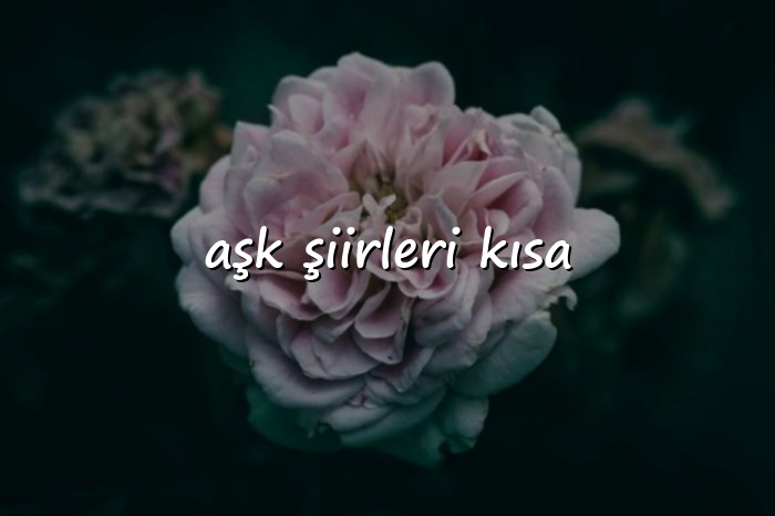 aşk şiirleri kısa - 2026