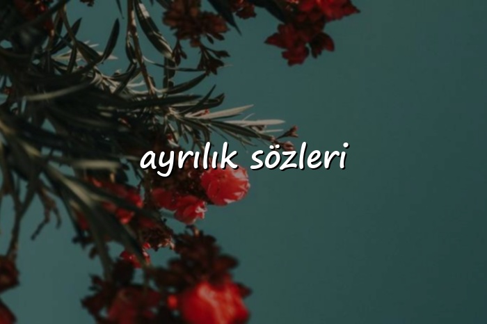 ayrılık sözleri - 2026