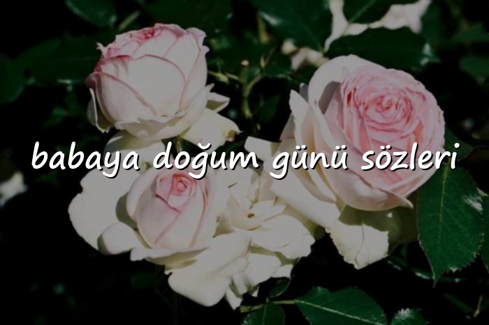 babaya doğum günü sözleri - 2026
