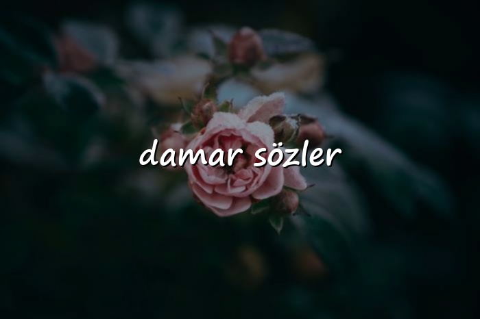 damar sözler - 2026
