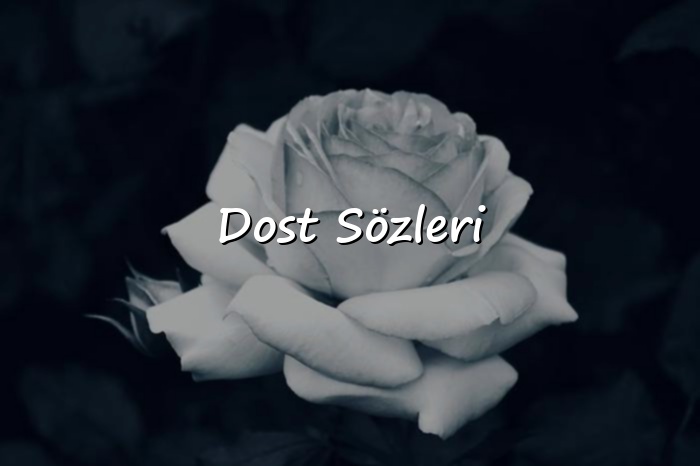 Dost Sözleri - 2026
