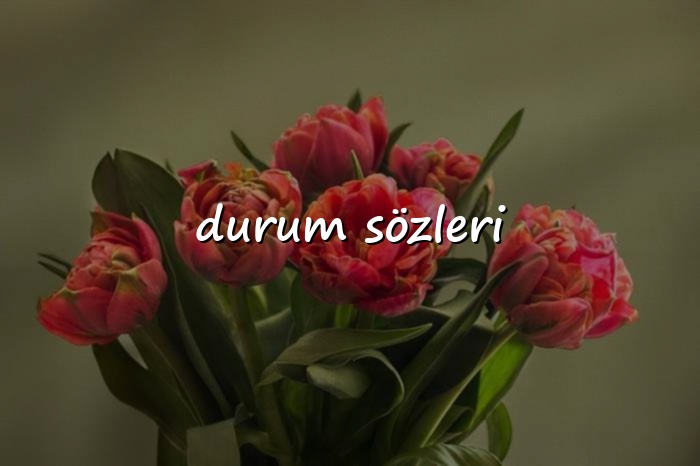 durum sözleri - 2026