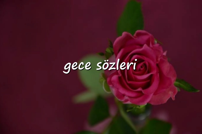 gece sözleri - 2026