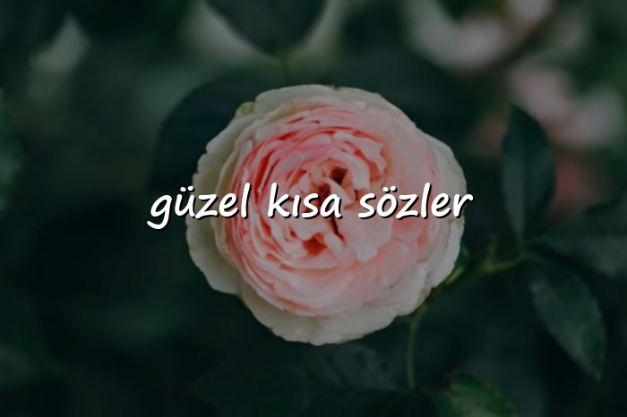 güzel kısa sözler - 2026