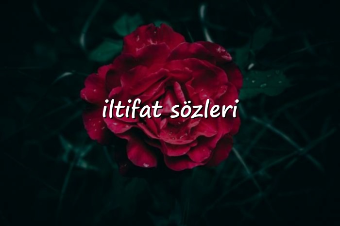 iltifat sözleri - 2026