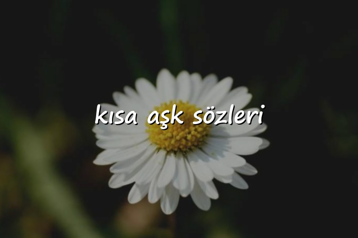 kısa aşk sözleri - 2026