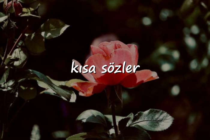 kısa sözler - 2026