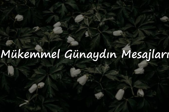 Mükemmel Günaydın Mesajları - 2026