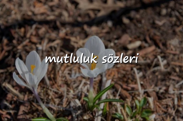 mutluluk sözleri - 2026