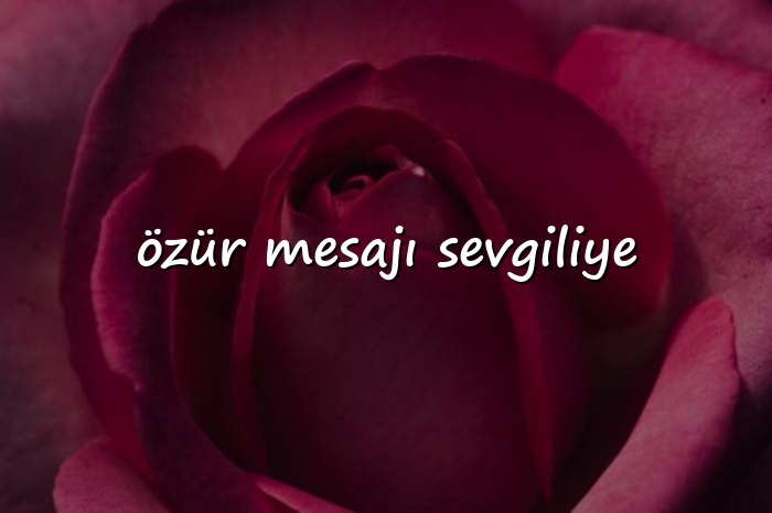 özür mesajı sevgiliye - 2026