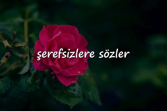 şerefsizlere sözler - 2026