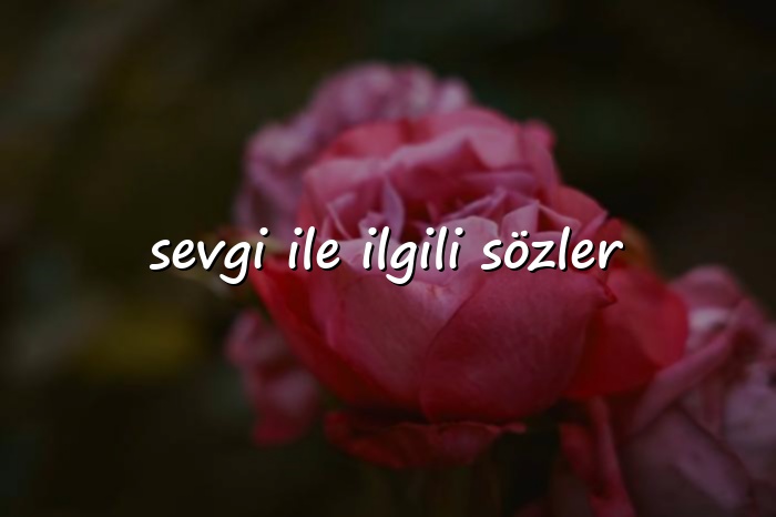 sevgi ile ilgili sözler - 2026