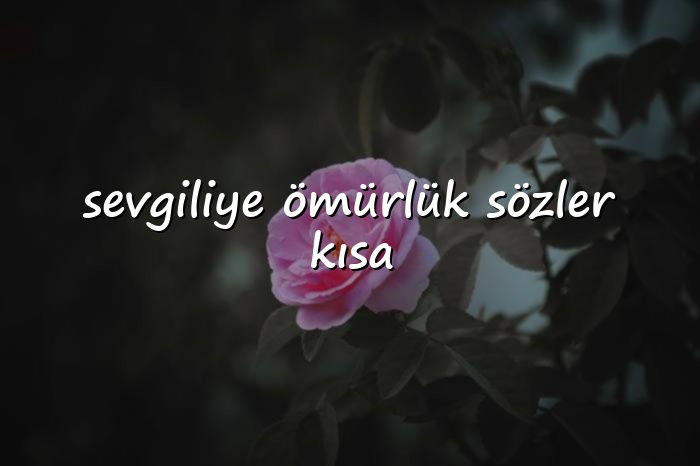sevgiliye ömürlük sözler kısa - 2026