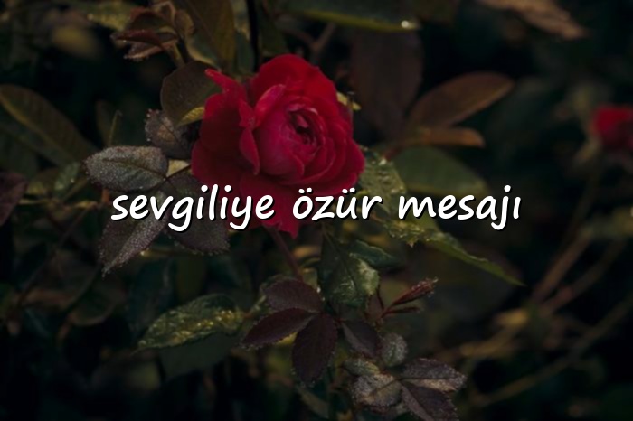 sevgiliye özür mesajı - 2026