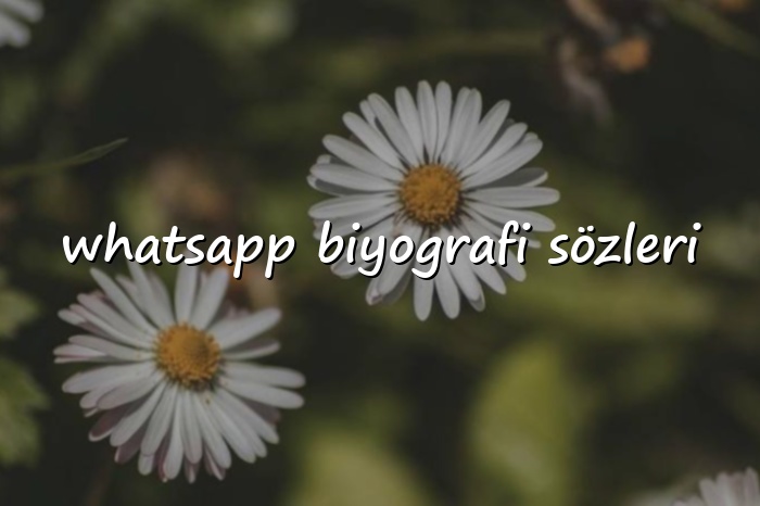 whatsapp biyografi sözleri - 2026